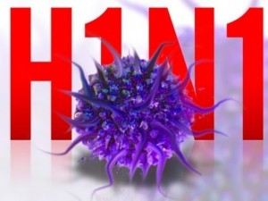gripe influenza h1n1
